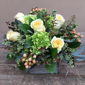 Заказ цветов с доставкой в Домодедово Заказ цветов и букетов с доставкой в Домодедово